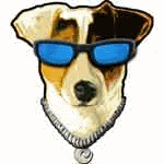 Jack russell terrier dog graphics