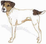 Jack russell terrier dog graphics