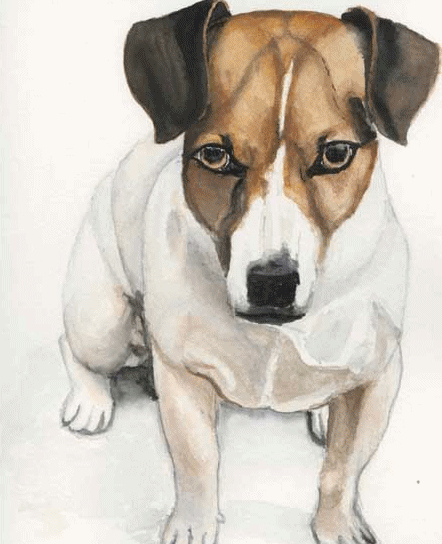 Jack russell terrier dog graphics