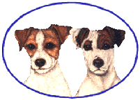 Jack russell terrier dog graphics