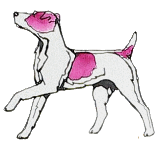 Jack russell terrier dog graphics