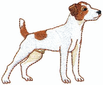 Jack russell terrier dog graphics