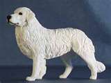 Kuvasz dog graphics