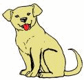 Labrador dog graphics