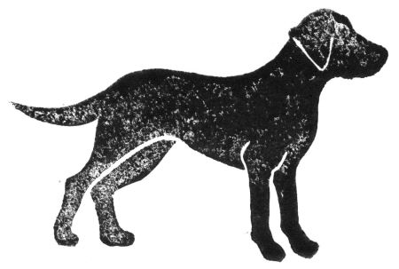 Labrador dog graphics