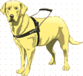 Labrador dog graphics