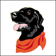 Labrador dog graphics