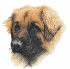 Leonberger dog graphics