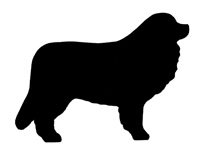 Leonberger dog graphics