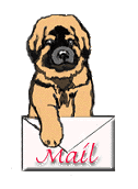 Leonberger dog graphics