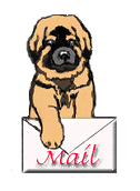 Leonberger dog graphics