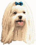 Maltese dog graphics