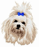 Maltese dog graphics