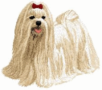 Maltese dog graphics