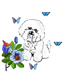 Maltese dog graphics