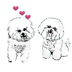 Maltese dog graphics