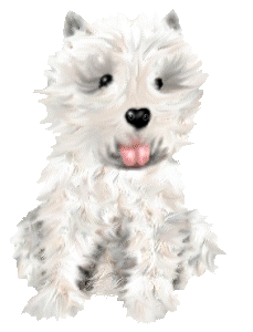 Maltese dog graphics