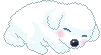 Maltese dog graphics