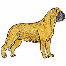 Neapolitan mastiff dog graphics