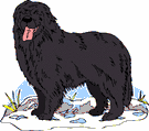 Newfoundland dog graphics