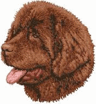 Newfoundland dog graphics