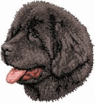 Newfoundland dog graphics