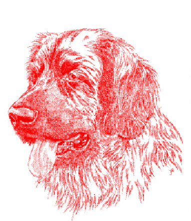 Newfoundland dog graphics