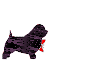 Newfoundland dog graphics