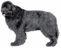 Newfoundland dog graphics