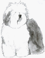 Old english sheepdog dog graphics