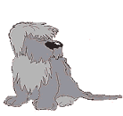 Old english sheepdog dog graphics