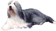 Old english sheepdog dog graphics