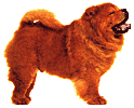 Other dog graphics