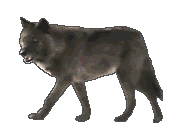 Other dog graphics