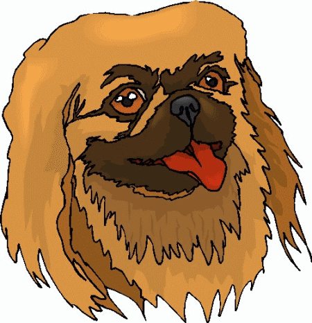 Pekingese