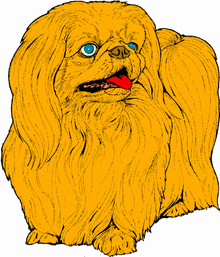 Pekingese dog graphics