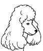 Poodle dog graphics