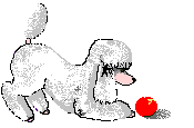 Poodle dog graphics