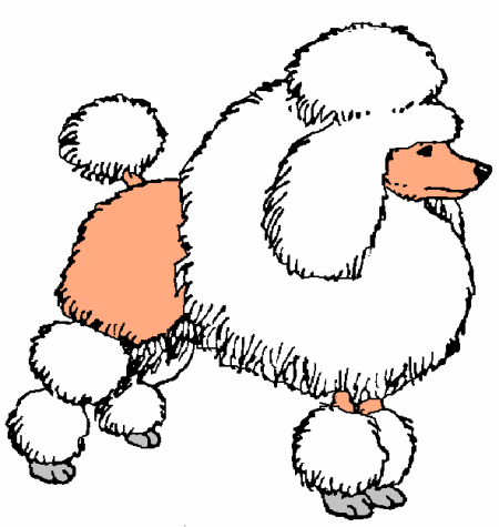 Poodle dog graphics