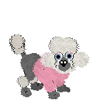 Poodle dog graphics