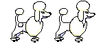 Poodle dog graphics