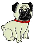 Pug dog graphics