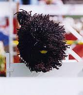 Puli