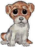 Puppy dog graphics