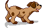 Puppy dog graphics