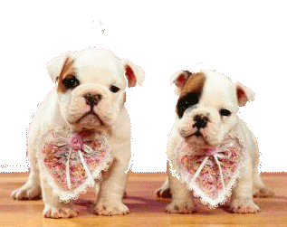 Puppy dog graphics