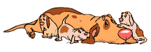 Puppy dog graphics