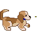 Puppy dog graphics