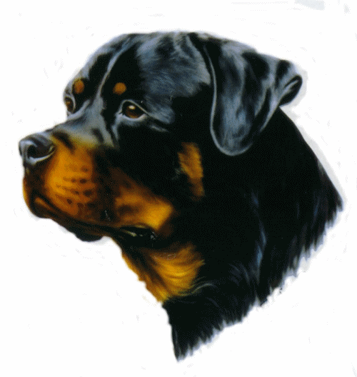 Rottweiler dog graphics