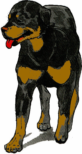 Rottweiler dog graphics